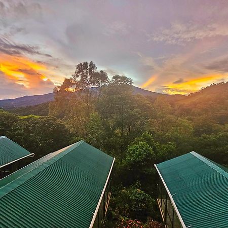 Eco Horqueta Bed & Breakfast Boquete Ngoại thất bức ảnh
